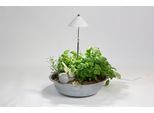 Sunlite 7W Led Lampada Per Piante Bianche Da Interno, Con Asta Telescopica Estensibile
