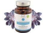 Fisetin Capsule 60 Capsule