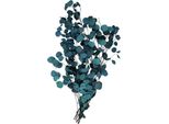 Fiori Secchi Di Eucalipto Veri, Fiori Secchi Di Eucalipto Bouquet Di Fiori Secchi Di Alta Qualità Pura Pianta Naturale Foglia Rotonda Vita Eterna E Mantenere Fresco, Decorazione Fiori Secchi Per La Festa