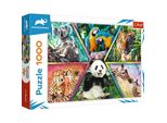 Trefl 10672 Puzzle Puzzle Da 1000 Pezzi Altro