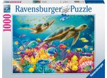 Mondo Subacqueo Blu Ravensburger 17085