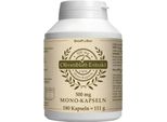 Estratto Di Foglie Di Olivo 500 Mg Mono Capsule 180 Capsule