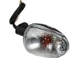 Indicatore Posteriore Piaggio, Destro, Bianco Compatibile Con Nrg Power, 642603