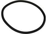 Guarnizione Piaggio O-Ring Filtro Aria Secondario, 831258