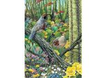 Cobble Hill Puzzle Corteggiamento 1000 Teile