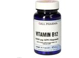 Vitamina B12 1000 μG Gph Capsule 90 Capsule