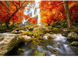 Enjoy Puzzle Cascata D'autunno 1000 Pezzi