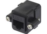 Adattatore Di Rete Renkforce RJ45 Cat 6 [1X Presa RJ45