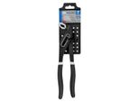 Pinza Lampa Regolabile A Cerniera Chiusa 10 Pollici /250Mm
