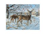 Cobble Hill Puzzle Cervo In Inverno 500 Pezzi