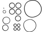 Set Di Guarnizioni Per Unità Di Filtrazione Marimex Prostar 2000 / 4000 / 6000