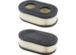 Filtro Aria Briggs & Stratton 593260, 798452 500E 550 550E 550Ex 575E