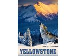 Puzzle Alipson Yellowstone Wolf - 500 Pezzi In Plastica