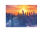 Trefl Trefl Puzzle The Nature Of Finland -Palapeli, 1000 Palaa