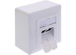 Scatola Di Giunzione Inline® Cat.6A, 2X Presa RJ45, RAL9010, Bianco