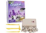 Set Di Scavo Per Bambini Set Di Scavo Per Fossili Set Per Il Fai Da Te Set Per L'apprendimento Dell'archeologia In Cristallo
