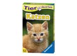 Ravensburger Kartenspiele Tier-Quartette Katzen, Kartenspiel, Quartett, Karten Spiel, Spielkarten, Tiere, 20421 2