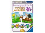 Animali In Giardino Ravensburger 07313