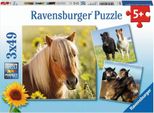Cari Cavalli Ravensburger 08011