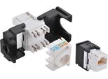 Logilink Cat 6 Presa Keystone Utp 180° Senza Attrezzi 17,1 Mm (1 Confezione Morbida)