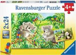 Carini Koala E Panda Ravensburger 07820