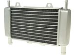 Bestprice Refrigeratore Compatibile Con Gilera Runner (-05)