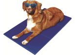 Tappetino Auto-Raffreddante Tappetino Di Raffreddamento Coperta Di Raffreddamento Per Cani E Gatti 40X50Cm