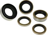 Set Di Paraolio Motore Bestprice Compatibile Con ZüNdapp (3 Velocità)
