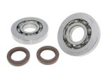 Set Cuscinetti Albero Motore Fkm Per Gilera Runner, Piaggio Hexagon, Italjet Dragster 125, 180Cc