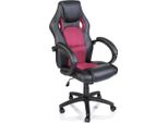 Tresko Racing Sedia Direzionale Sedia Da Ufficio Sedia Girevole Sedia Sportiva Sedia Da Ufficio Sedia Da Scrivania Nero/Rosa