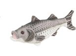 Bauer Spielwaren 14056 - Eye-Catcher - Spigola Di Peluche (Grigio, 25 Cm)