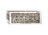 Eurographics Puzzle Panoramico Del Soffitto Della Cappella Sistina 1000 Pezzi