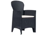 Vidaxl Sedie Da Giardino 2 Pezzi Con Cuscini In Plastica Antracite Effetto Rattan