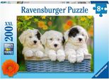 Cuccioli Di Peluche Ravensburger 12765