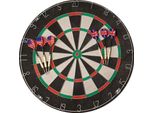 Roleo Steeldart, Bersaglio Per Freccette Con 2 Set Di Freccette - Starter Set