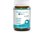 Sango Inconcept Polvere 100G