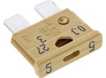 Fusibile A Spina Piatta Per Auto 32V 5A Marrone Chiaro - Iso 8820-3