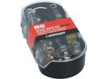 Set Di Lampadine Di Ricambio H1/H7 Da 30 Pezzi Carpoint