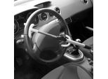 Elefante Bloccasterzo Carpoint