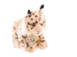 Wwf Peluche Lince (25 Cm) Peluche Realistico Peluche Peluche