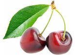 Ciliegio Dolce 'Van' Standard 100-120 Cm, Autoimpollinante, Resistente, Ciliegio Prunus Avium, Acquistare Albero Da Frutto Per Giardino E Balcone