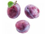 Prugna Prunus Domestica Reine Claude D'althan 120 Cm - Prugna Nobile Dolce, Autofertile, Resistente, In Vaso