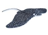 Wild Republic - Peluche - Cuddlekins - Rays