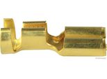 Flachst.Huelse 2,5-6,0/6,3 50 251 216 -