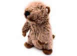 Onwomania Peluche Animale Di Peluche Mankei Scoiattolo Di Terra Marmotta Altezza 17 Cm Marrone