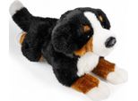 Carl Dick Cane Da Montagna Bernese, Cane, Circa 40 Cm 1542001 Peluche, Peluche, Peluche