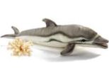 Hansa Toy 6149 Delfino Delfino 31 Cm Peluche Peluche Peloso