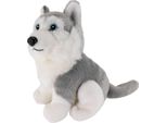 Carl Dick Husky, Grigio, Seduto, Cane, Ca. 16Cm 1672002 Peluche, Peluche, Peluche
