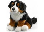 Carl Dick Cane Da Montagna Bernese Seduto, Cane, Circa 30Cm 1885001 Peluche, Peluche, Peluche