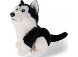 Carl Dick Husky, Nero, Seduto, Cane, Ca. 16Cm 1672004 Peluche, Peluche, Peluche